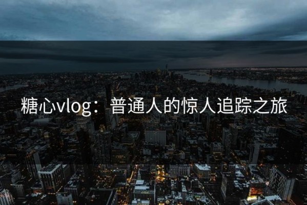 糖心vlog：普通人的惊人追踪之旅