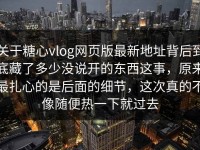 关于糖心vlog网页版最新地址背后到底藏了多少没说开的东西这事，原来最扎心的是后面的细节，这次真的不像随便热一下就过去