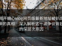 揭开糖心vlog网页版最新地址被扒出来的真相：深入解析这一波争议背后的深层次原因