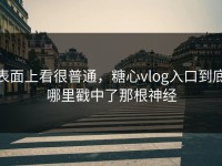 表面上看很普通，糖心vlog入口到底哪里戳中了那根神经