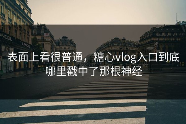 表面上看很普通，糖心vlog入口到底哪里戳中了那根神经