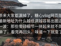 原来大家都漏掉了，糖心vlog网页版最新地址为什么越低调越容易出圈这一波：那些零碎细节一拼起来就不简单了，看完再回头，味道一下就变了