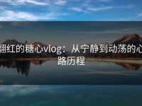 翻红的糖心vlog：从宁静到动荡的心路历程