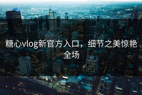 糖心vlog新官方入口，细节之美惊艳全场