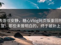 表面很安静，糖心Vlog网页版重回热度：那些未曾明白的，终于被补上