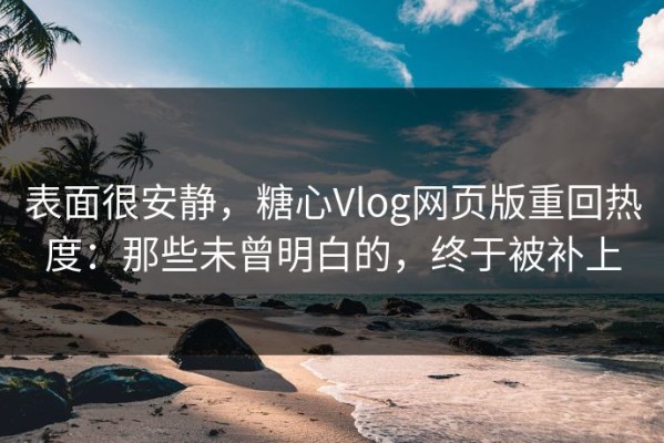表面很安静，糖心Vlog网页版重回热度：那些未曾明白的，终于被补上