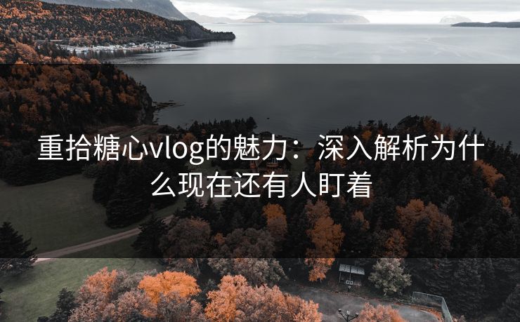 重拾糖心vlog的魅力：深入解析为什么现在还有人盯着