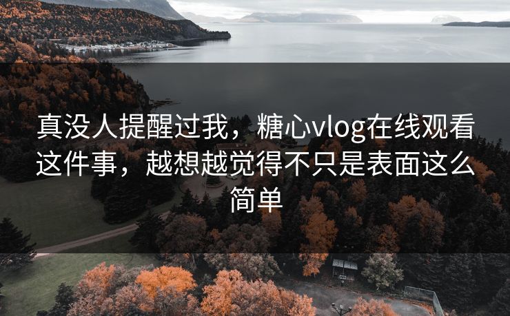 真没人提醒过我，糖心vlog在线观看这件事，越想越觉得不只是表面这么简单