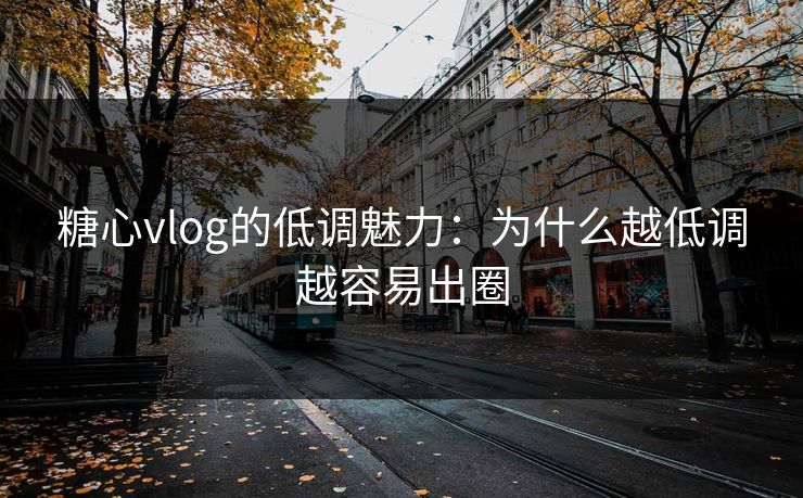 糖心vlog的低调魅力：为什么越低调越容易出圈