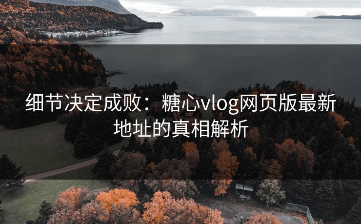 细节决定成败：糖心vlog网页版最新地址的真相解析