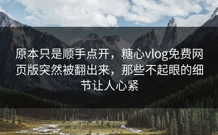 原本只是顺手点开，糖心vlog免费网页版突然被翻出来，那些不起眼的细节让人心紧